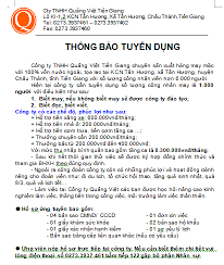 Quảng Việt Tiền Giang 9