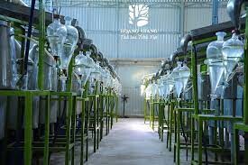 Trầm Hương Hoàng Giang 9