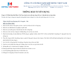 Mitsu Việt Nam 8