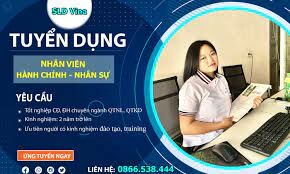 SLD VINA 2
