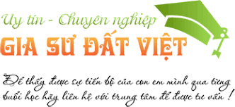 Gia sư Đất Việt 9