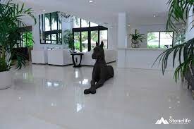 Công ty cổ phần Stonelife Việt Nam 1