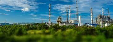 Kim Trường Phúc 5