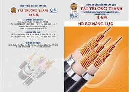 Tài Trường Thành 6