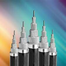 Tài Trường Thành 5