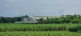 Công Ty Cổ Phần Sữa Núi Tản Ba Vì 3