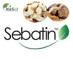 Dược Phẩm Nasol 10