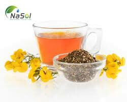 Dược Phẩm Nasol 6