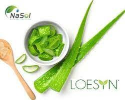 Dược Phẩm Nasol 5