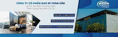 Bao Bì Toàn Cầu 10