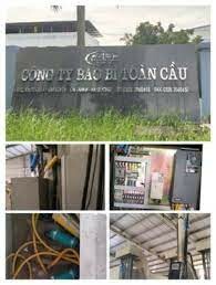 Bao Bì Toàn Cầu 6