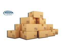 Bao Bì Toàn Cầu 5