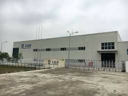 Bao Bì Toàn Cầu 2