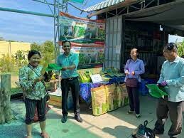 Giống Cây Trồng Miền Nam 8