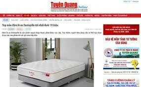 Dunlopillo (Vietnam) Ltd 5