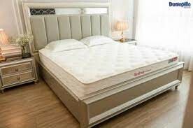 Dunlopillo (Vietnam) Ltd 1