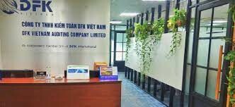 DFK Việt Nam 10