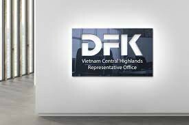 DFK Việt Nam 4
