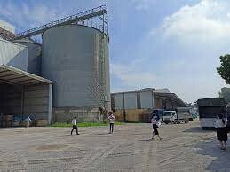 Chi Nhánh Hồ Chí Minh Công Ty Cổ Phần Tư Vấn Quy Hoạch Và Thẩm Định Giá SBA 1