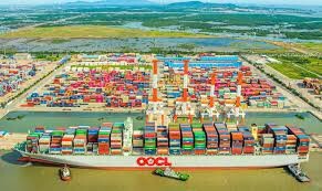 Công Ty Cổ Phần Vận Tải Biển Tân Cảng 6