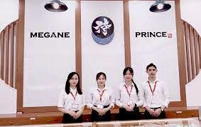 Công Ty TNHH Megane Prince 7
