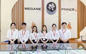 Công Ty TNHH Megane Prince 6