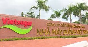 Đường Việt Nam (Vietsugar) 9