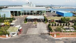 Đường Việt Nam (Vietsugar) 7