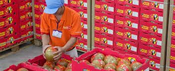 The Fruit Republic Cần Thơ 6