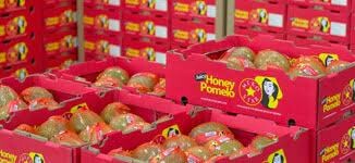 The Fruit Republic Cần Thơ 5