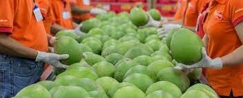 The Fruit Republic Cần Thơ 4