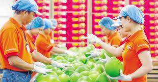 The Fruit Republic Cần Thơ 1