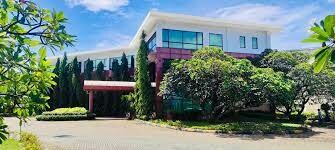 New Toyo-Pulppy Việt Nam 6