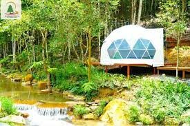 Du lịch Rừng Thông Núi Voi - L.TC Dalat Land 9