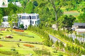 Du lịch Rừng Thông Núi Voi - L.TC Dalat Land 6