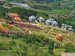 Du lịch Rừng Thông Núi Voi - L.TC Dalat Land 2