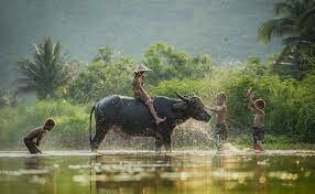 Jiva Hoa Lư Retreat 2