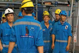 Công Ty Cổ Phần Kỹ Thuật Nhiệt Mèo Đen 7