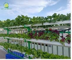 Công Ty Cổ Phần Thủy Canh Miền Nam 7