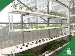 Công Ty Cổ Phần Thủy Canh Miền Nam 4