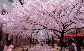 Công Ty TM Đầu Tư Và Du Lịch Rồng Việt 8