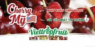 Công Ty TNHH TM XNK Nguyễn Huy 9