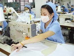 Quint Major Industrial Viet Nam 8