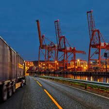 Logimark International 8