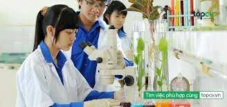 Trà Dược Liệu Ngọc Anh 5