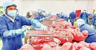 CÔNG NGHIỆP THỰC PHẨM THABICO TIỀN GIANG 7