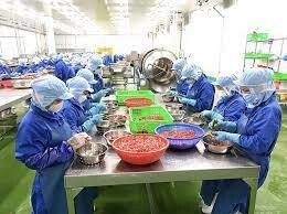 CÔNG NGHIỆP THỰC PHẨM THABICO TIỀN GIANG 6