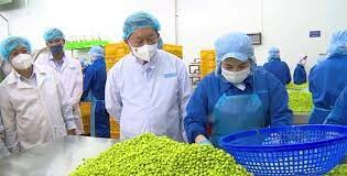 CÔNG NGHIỆP THỰC PHẨM THABICO TIỀN GIANG 5