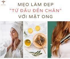 Công Ty TNHH Holy Bee 6