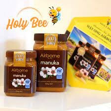 Công Ty TNHH Holy Bee 1